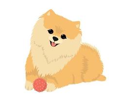 fofa cachorro spitz com uma bola vetor plano ilustrações.