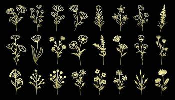 vetor coleção conjunto do botânico flor ícone ouro colori elementos