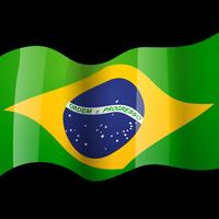 bandeira do brasil vetor