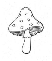 esboço rabisco do amanita cogumelo vetor