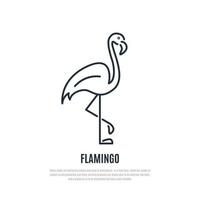 ícone de linha de flamingo. símbolo de pássaro selvagem. estilo do forro. vetor