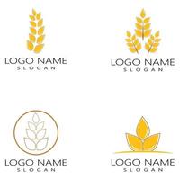 agricultura trigo conjunto de design de ícone de vetor