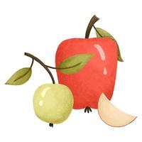 mão desenhado vermelho e verde maçãs conjunto com cortar metade, isolado em branco fundo. delicioso Comida ilustração, vegano Comida vetor