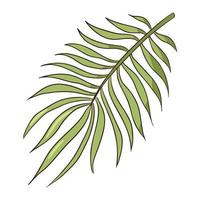desenho de linha folha de palmeira orgânica tropical verde. ilustração em vetor plana de folha exótica