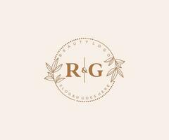 inicial rg cartas lindo floral feminino editável premade monoline logotipo adequado para spa salão pele cabelo beleza boutique e Cosmético empresa. vetor