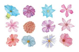 todos tipos do flores coleção, mão desenhado aguarela vetor ilustração para cumprimento cartão ou convite Projeto