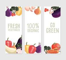 três modelos de banner vertical com vegetais orgânicos frescos e lugar para texto. mão colorida desenhada comida natural em fundo branco. ilustração vetorial. vetor