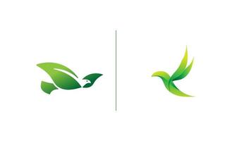 vetor de modelo de design de logotipo eco folha de pássaro
