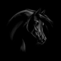 retrato de uma cabeça de cavalo árabe em um fundo preto. ilustração vetorial