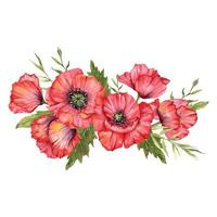 vermelho papoula flores aguarela ilustração, mão pintado flores silvestres ramalhete. perfeito para Casamento convites, nupcial chuveiro e floral cumprimento cartões vetor