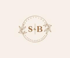 inicial sb cartas lindo floral feminino editável premade monoline logotipo adequado para spa salão pele cabelo beleza boutique e Cosmético empresa. vetor