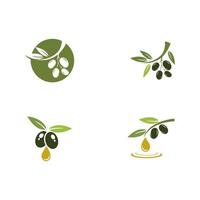 ilustração vetorial de ícone de oliva vetor