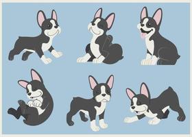 boston terrier cachorro conjunto vetor