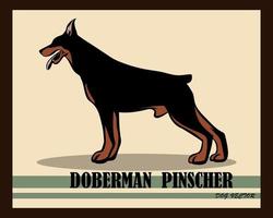 cão doberman pinscher vetor eps 10