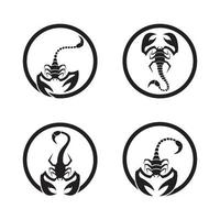 ilustração das imagens do logotipo do escorpião vetor