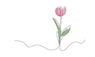 tulipa mão desenhado flor contínuo. Primavera flor com folhas 1 linha. botânico decorativo desenhando elemento. vetor ilustração