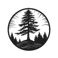 pinho árvore, vintage logotipo conceito Preto e branco cor, mão desenhado ilustração vetor