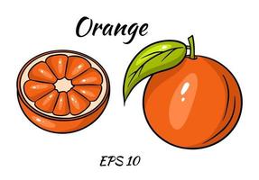 vetor de laranja. frutas frescas de orangotango em estilo cartoon. metade e uma fatia de laranja de vetor de anel isolada no fundo branco.