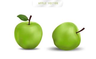maçã realista. frutas e vetor de maçã fresca.