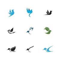 pássaro logotipo e símbolo vetor
