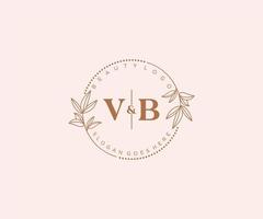 inicial vb cartas lindo floral feminino editável premade monoline logotipo adequado para spa salão pele cabelo beleza boutique e Cosmético empresa. vetor