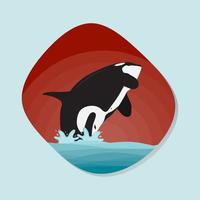 orca baleia ilustração aquário mar animais vetores