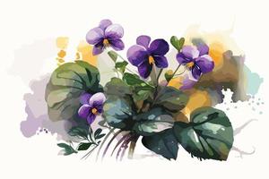 aguarela vibrante violetas flor ilustração para social meios de comunicação Publicidades, cartazes, bandeiras, e livro cobre Projeto vetor