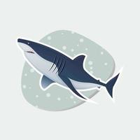 Tubarão vetor ilustração arte trabalhos mar animal aquário