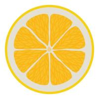 citrino fatia ícone isométrico vetor. brilhante amarelo fresco limão ou pomelo dentro cortar vetor