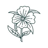 modelo de design de ilustração de folha de flor vetor