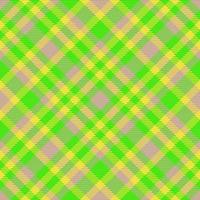 Verifica vetor textura. fundo tecido tartan. padronizar têxtil xadrez desatado.