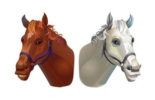 as cabeças dos cavalos. claro e escuro. ilustração vetorial vetor