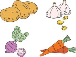 legumes definir. cenoura, batata, cebola, e alho. vetor ilustração