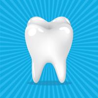 dente dentes vetor