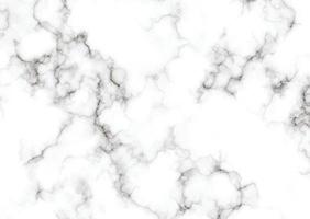 branco cinzento textura abstrato fundo vetor