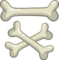 humano osso. conjunto do vetor esqueleto elementos.