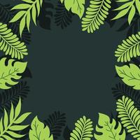 verde tropical folhas fronteira vetor ilustração