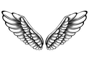 vector design de tatuagem de asas de anjo