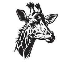 girafa face, silhuetas girafa face, Preto e branco girafa vetor