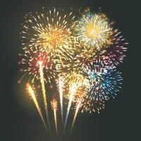 fogos de artifício multicoloridos explodindo no céu à noite ilustrador vetorial 10