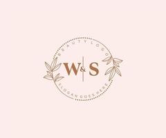 inicial ws cartas lindo floral feminino editável premade monoline logotipo adequado para spa salão pele cabelo beleza boutique e Cosmético empresa. vetor