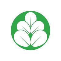 logotipo de folha de moringa verde, para ingredientes à base de plantas, agricultura de moringa, saúde, indústria de medicamentos, beleza, terapia, modelo de ícone de ilustração vetorial de design de conceito com um conceito moderno vetor