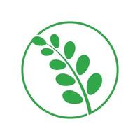 logotipo de folha de moringa verde, para ingredientes à base de plantas, agricultura de moringa, saúde, indústria de medicamentos, beleza, terapia, modelo de ícone de ilustração vetorial de design de conceito com um conceito moderno vetor