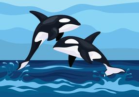 Ilustração de baleias assassinas vetor