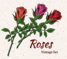 vintage florescendo vermelho, magenta, laranja rosas com haste em texturizado backgorund. gravação estilo. pré fez cumprimento cartão. isolado vetor ilustração