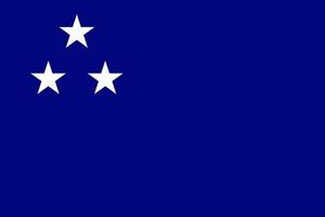 simples bandeira do sul é meu país vetor