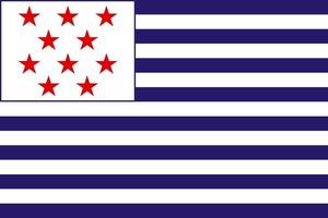 simples bandeira do Bakassi vetor