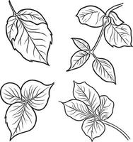 vintage botânico linha desenho, botânico ilustração botânico linha desenho, simples botânico linha desenho, simples botânico flor desenhos, fácil botânico rabiscos. estético flor rabiscos. vetor