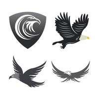 falcon logo template vector