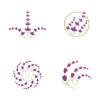 modelo de símbolo de logotipo de flor de lavanda vetor